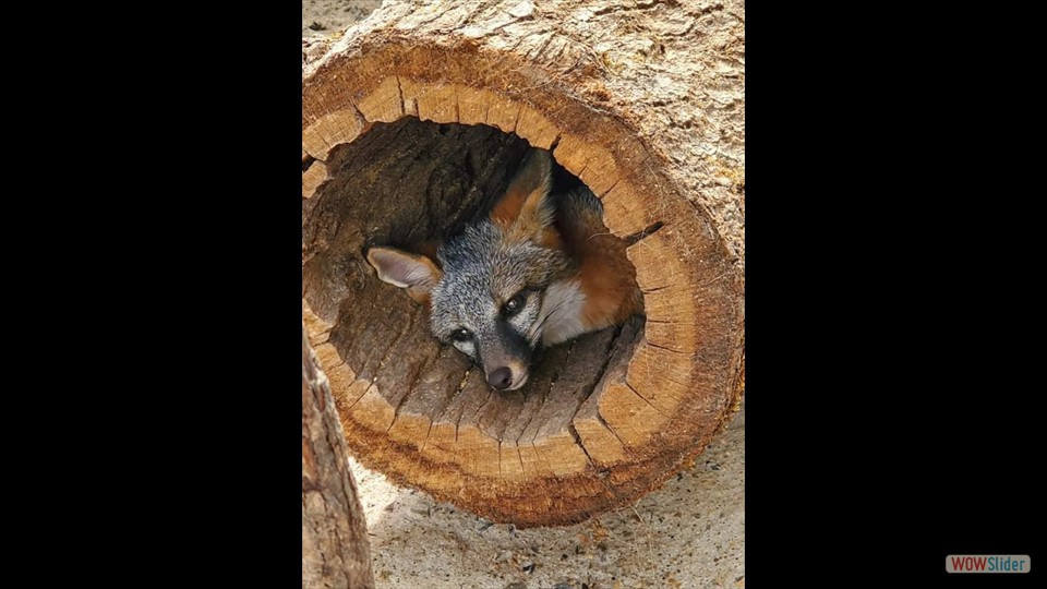 241638092_2292301970905710_5132259610534737_n