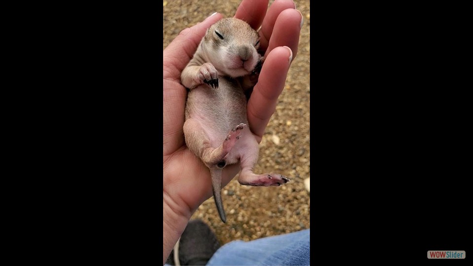 264416125_2367262616742978_8647704226100426636_n