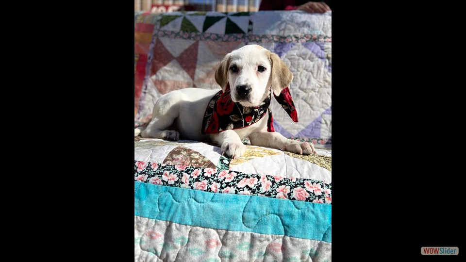 315906031_2665345716934665_5141229205446666437_n