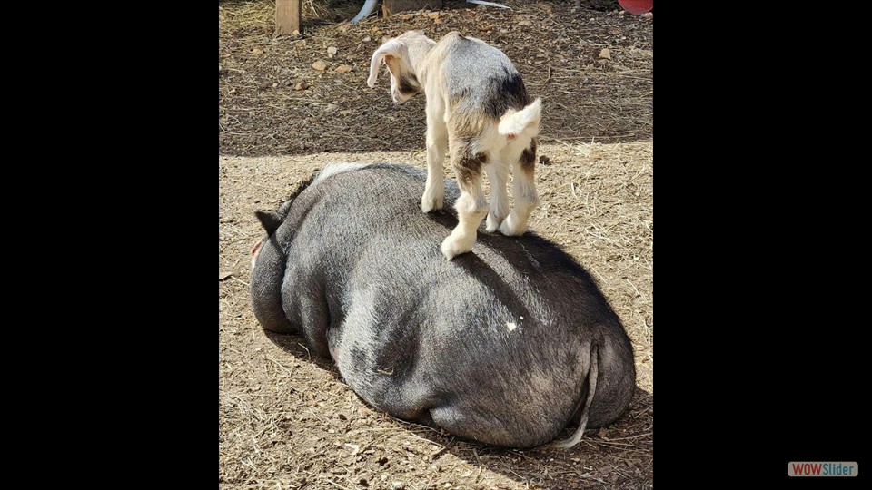 335002935_1979161979085966_6297316709900281297_n