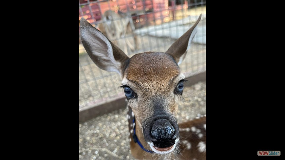 353629745_258808223401284_5821712323758753779_n