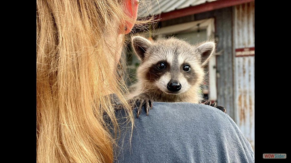 362937896_281920451090061_3398158476555122564_n