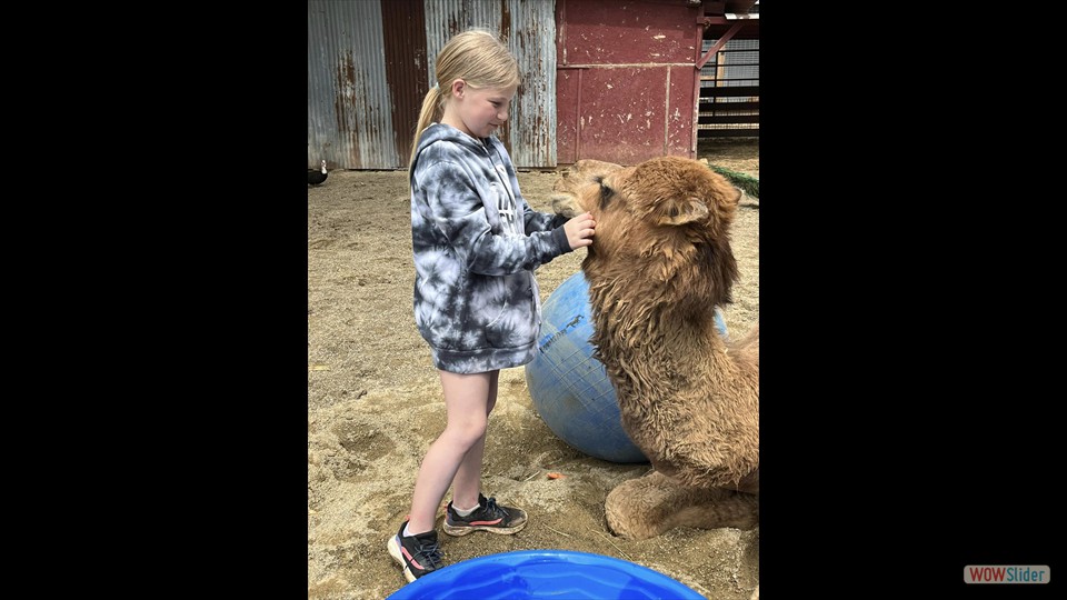 362960203_281920337756739_1978178778342244285_n