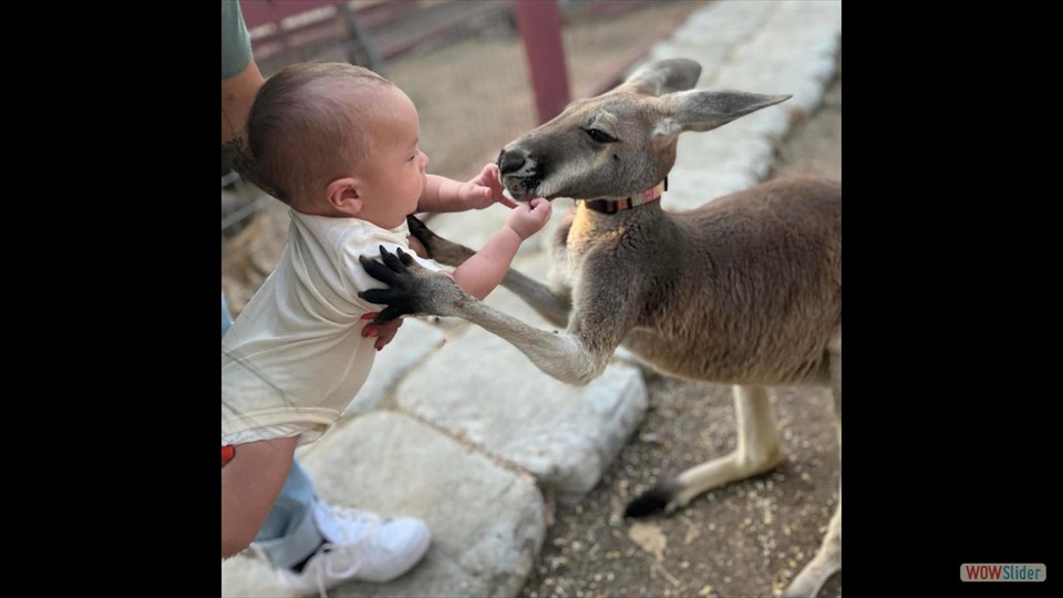 363348208_281922877756485_5585728566844255504_n