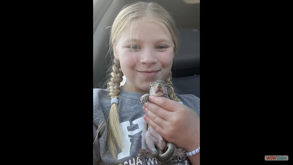 382241105_310217351593704_5966698520245544153_n