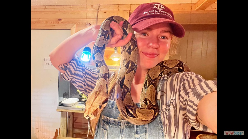 382448867_310551824893590_2985021204288001226_n