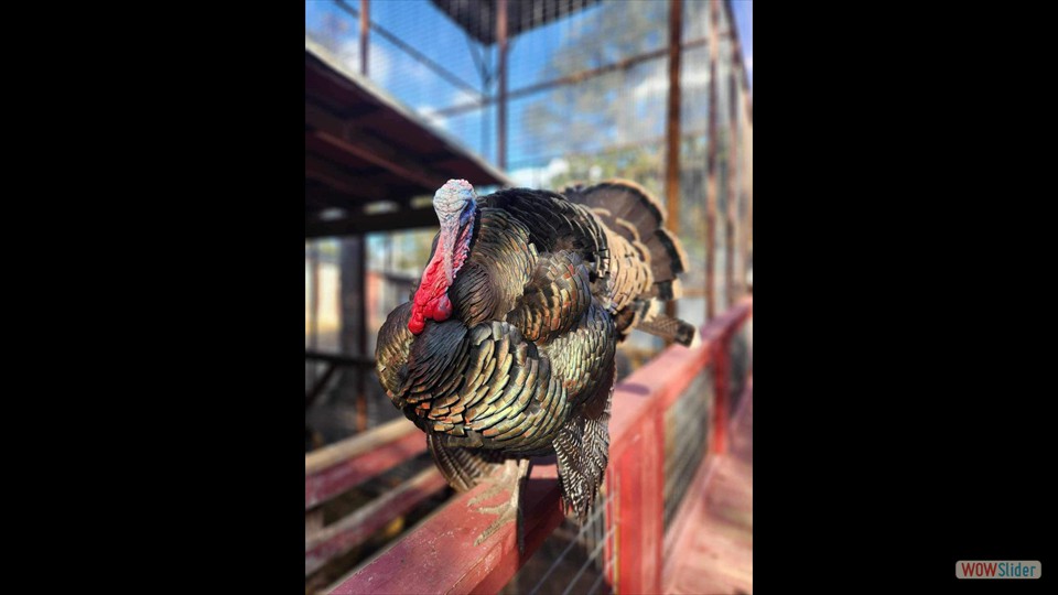 404636496_342973974984708_515294637638851727_n