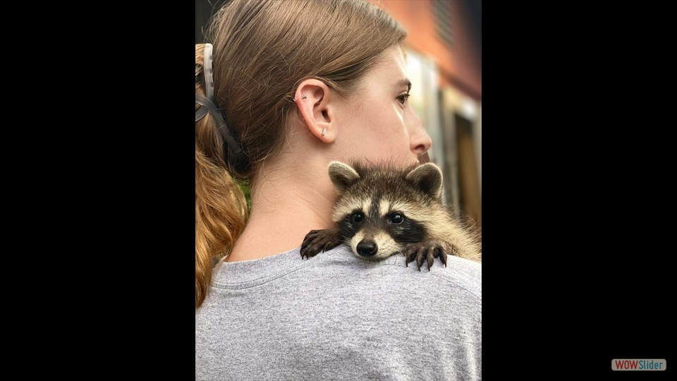 417392044_367026735912765_5987058313766828045_n