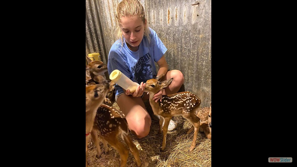 417434024_367026739246098_8774923540762766202_n