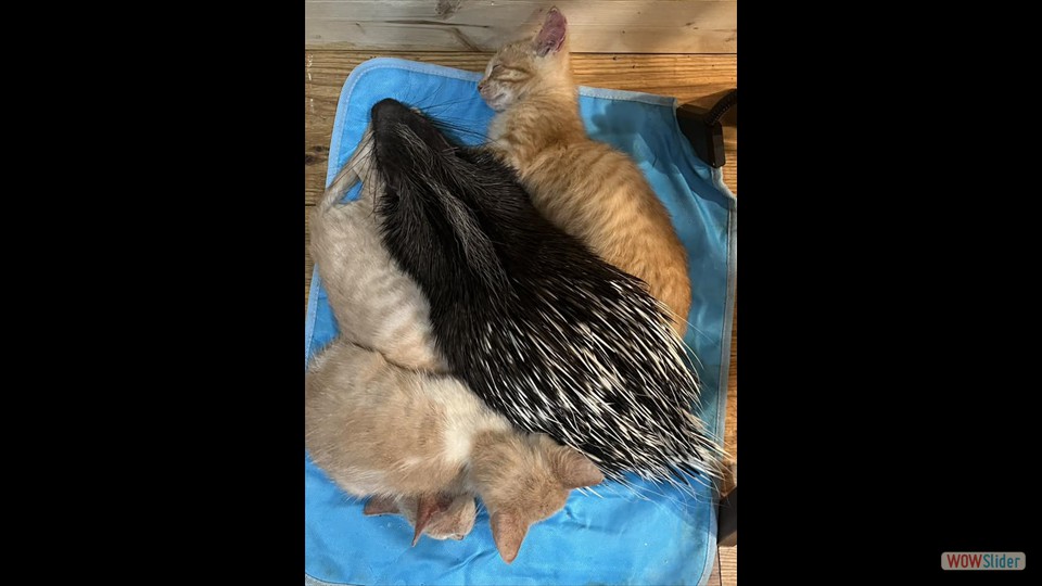 417438331_370907098858062_3907076570944778240_n