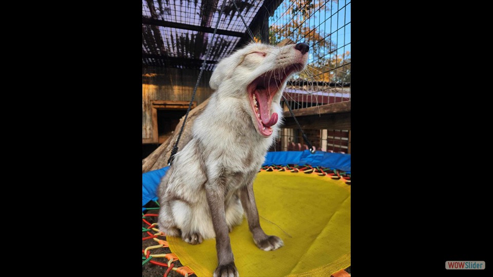 419706485_370921595523279_6261770246264347023_n