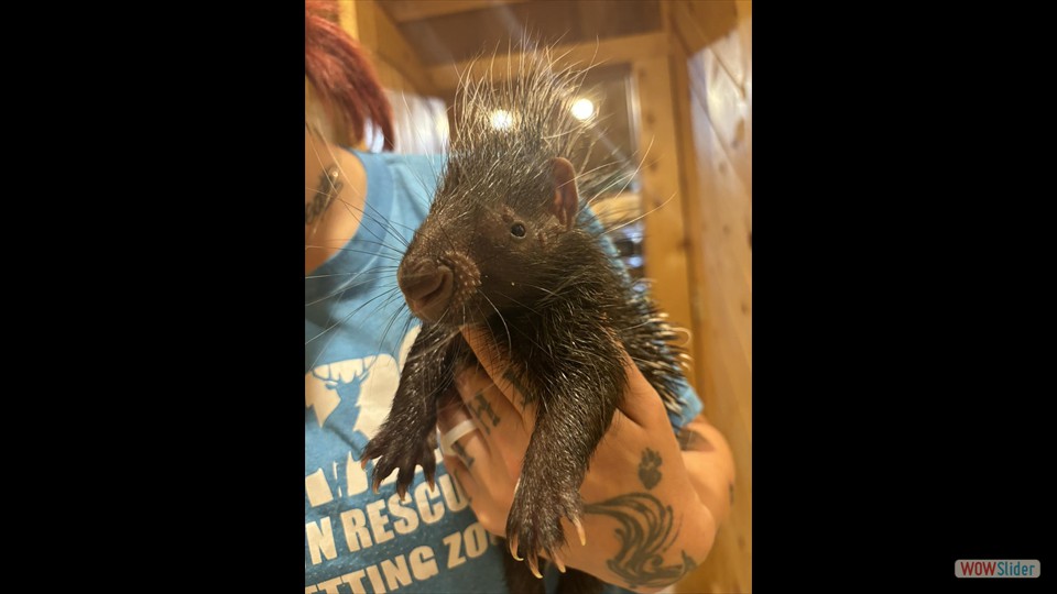 420798764_419144607367644_3906233539365067077_n