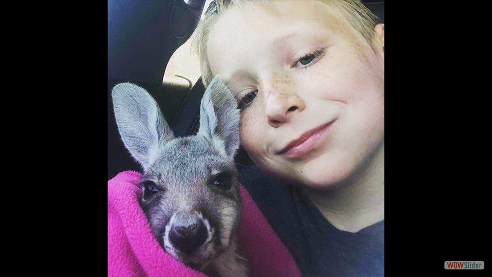 426252537_385811890700916_4339510662298111287_n