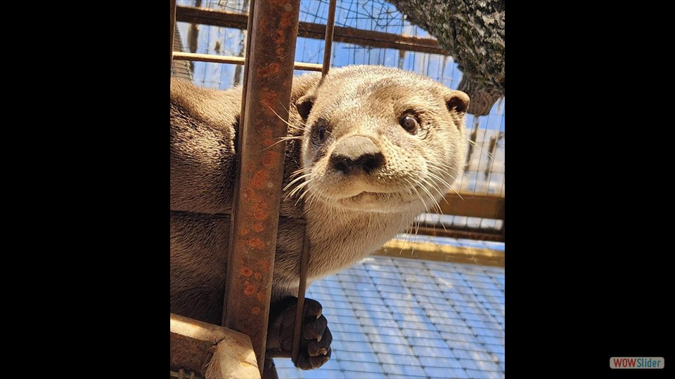 429648541_395563203059118_6001555154566638021_n