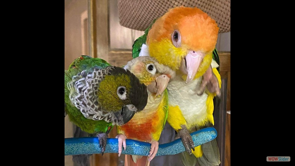 432686314_406242218657883_3604169283862231371_n