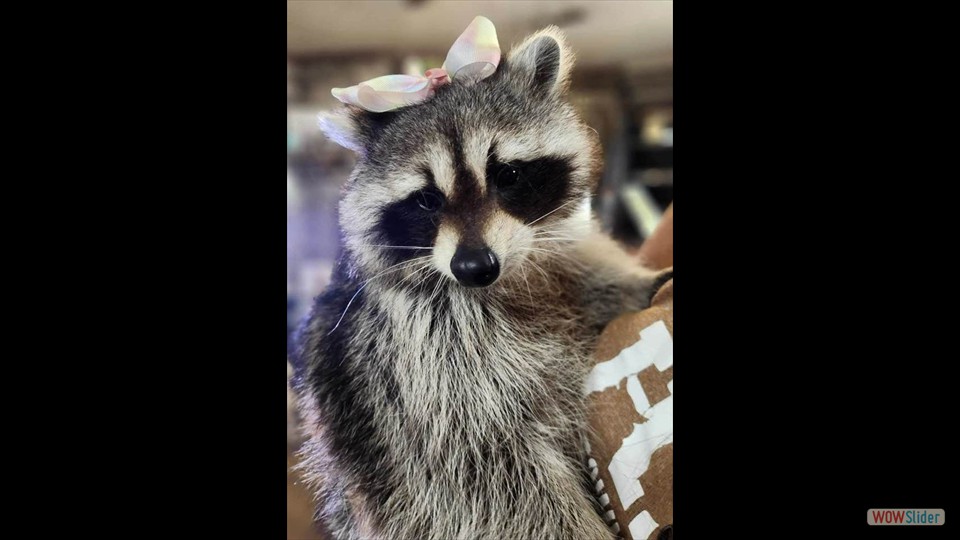 432962506_407473555201416_8248606545620144160_n