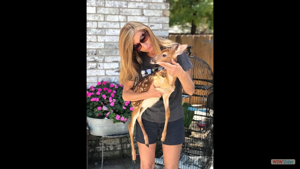 447286485_456852253596879_6809760321934043214_n