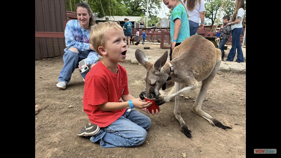 448026817_456857456929692_4273770831775822453_n