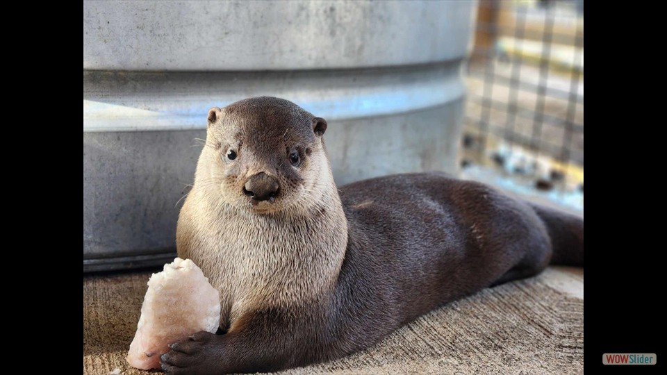 457474414_507955548486549_3443838757811663777_n